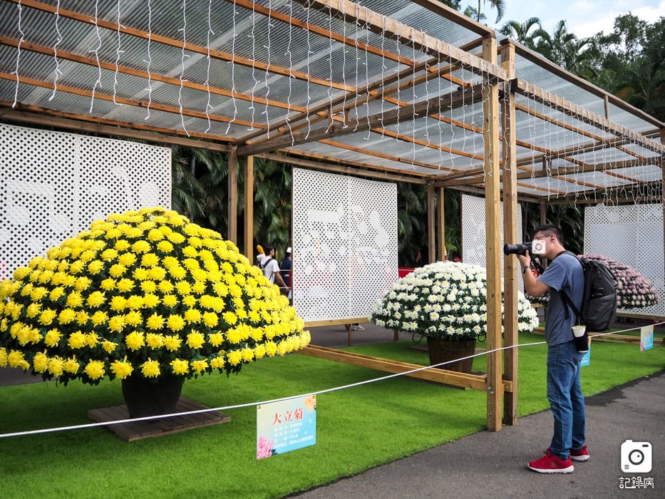 2019 士林官邸菊展-樂在菊中 (19).JPG
