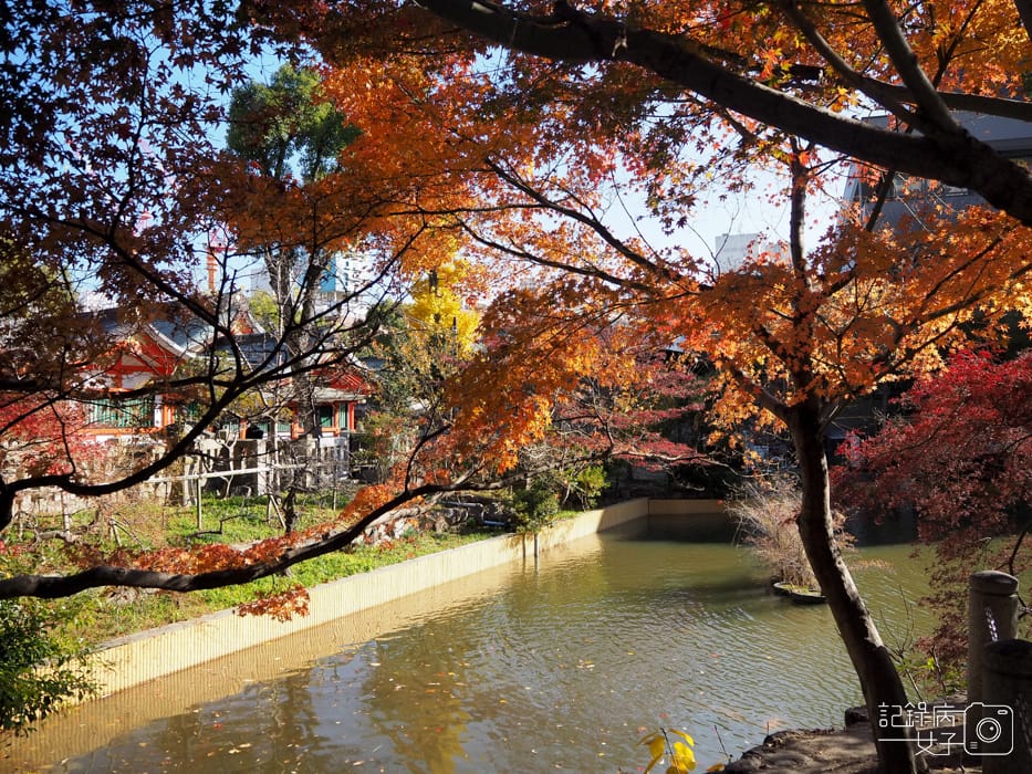 神戶-生田神社-生田の森-戀愛水籤占卜 (17).JPG