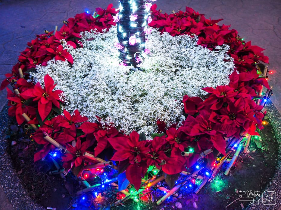 台北北投福興聖誕公園 (30).jpg