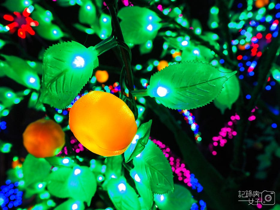 台北北投福興聖誕公園 (14).jpg