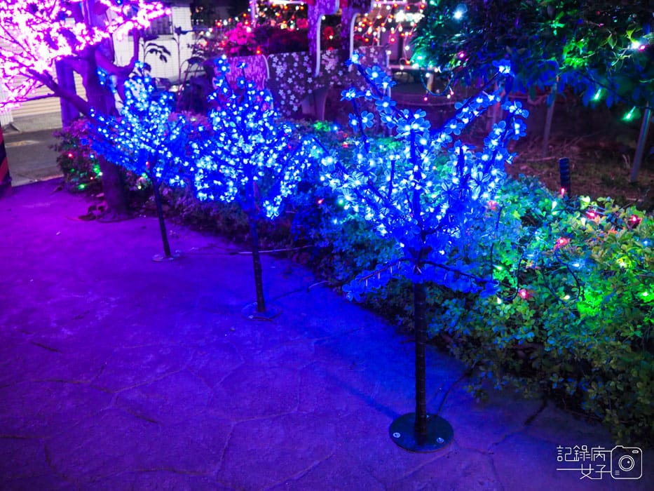 台北北投福興聖誕公園 (18).jpg