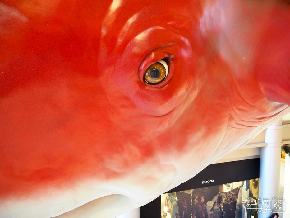 4-HEP FIVE-JUMP SHOP ジャンプショップ (10).JPG 4-HEP FIVE-JUMP SHOP ジャンプショップ (10).JPG