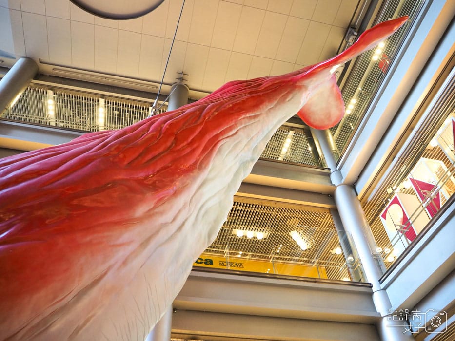 4-HEP FIVE-JUMP SHOP ジャンプショップ (11).JPG 4-HEP FIVE-JUMP SHOP ジャンプショップ (11).JPG