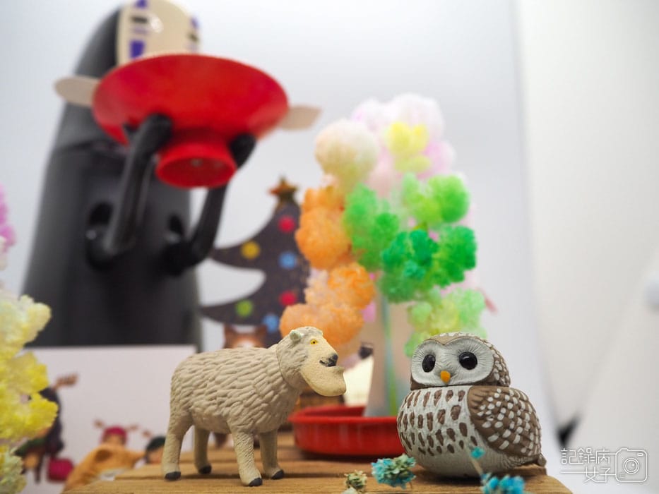 紙樹開花-結晶聖誕樹 (34).JPG 紙樹開花-結晶聖誕樹 (34).JPG