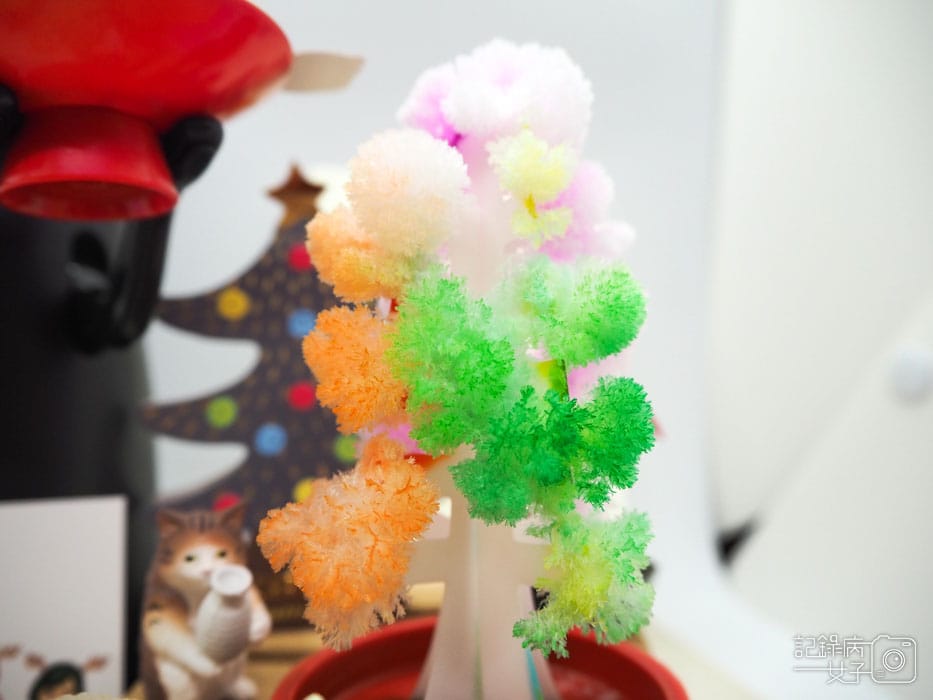 紙樹開花-結晶聖誕樹 (20).JPG 紙樹開花-結晶聖誕樹 (20).JPG