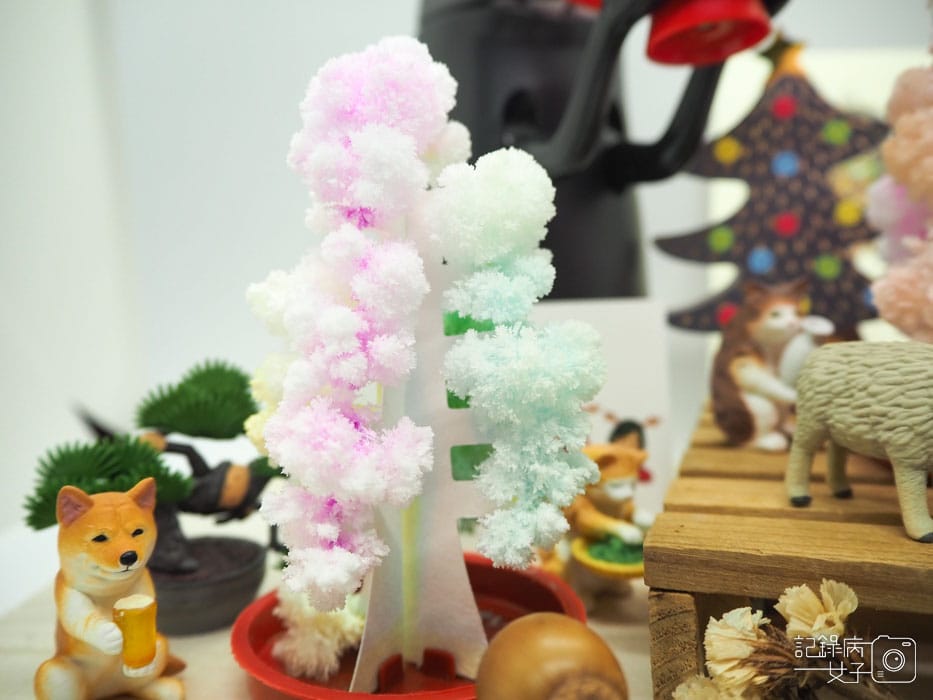 紙樹開花-結晶聖誕樹 (33).JPG 紙樹開花-結晶聖誕樹 (33).JPG