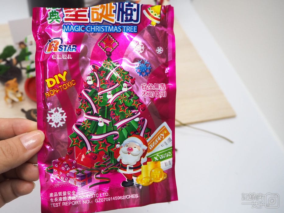 紙樹開花-結晶聖誕樹 (6).JPG 紙樹開花-結晶聖誕樹 (6).JPG