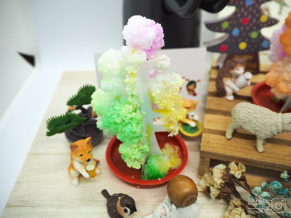 紙樹開花-結晶聖誕樹 (23).JPG 紙樹開花-結晶聖誕樹 (23).JPG