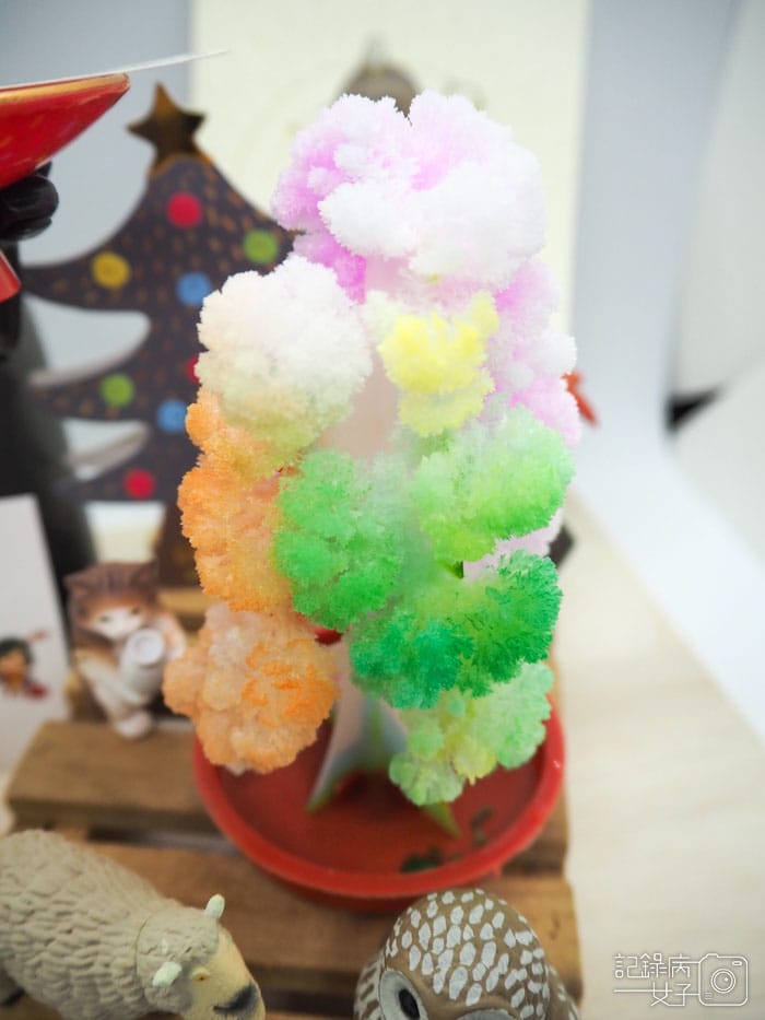 紙樹開花-結晶聖誕樹 (26).JPG 紙樹開花-結晶聖誕樹 (26).JPG