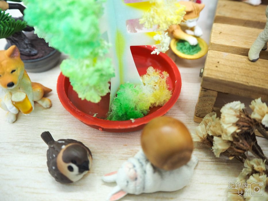 紙樹開花-結晶聖誕樹 (24).JPG 紙樹開花-結晶聖誕樹 (24).JPG