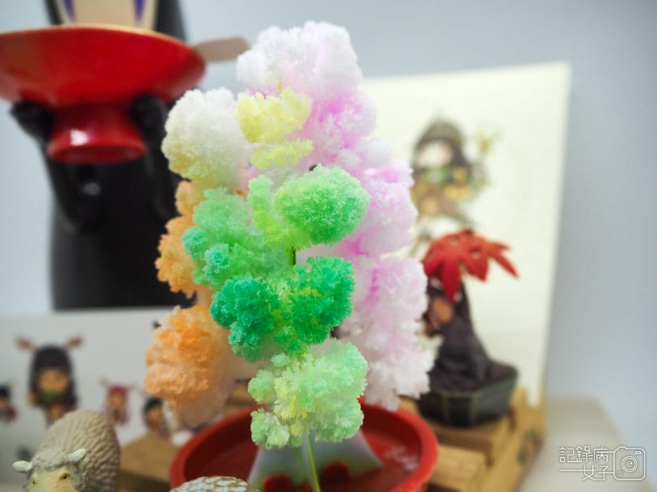 紙樹開花-結晶聖誕樹 (29).JPG 紙樹開花-結晶聖誕樹 (29).JPG
