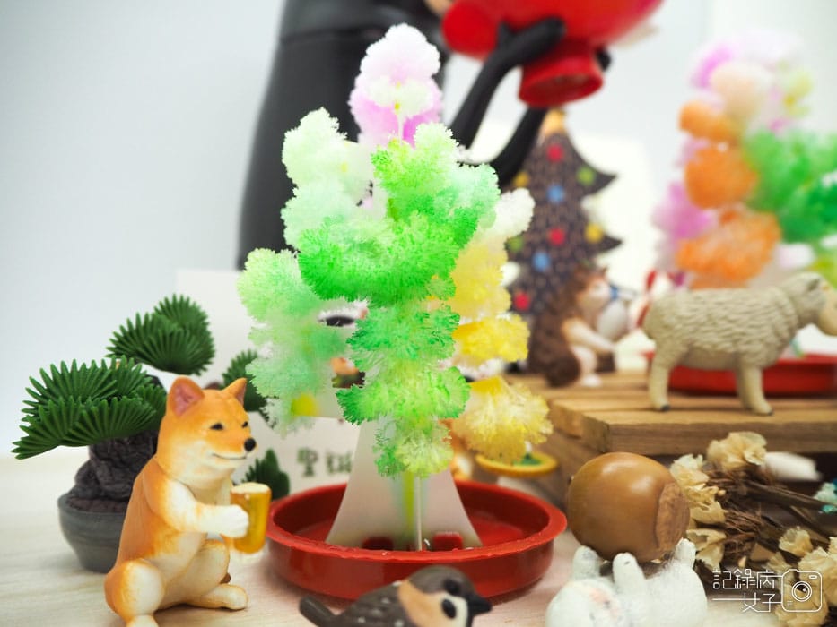 紙樹開花-結晶聖誕樹 (19).JPG 紙樹開花-結晶聖誕樹 (19).JPG