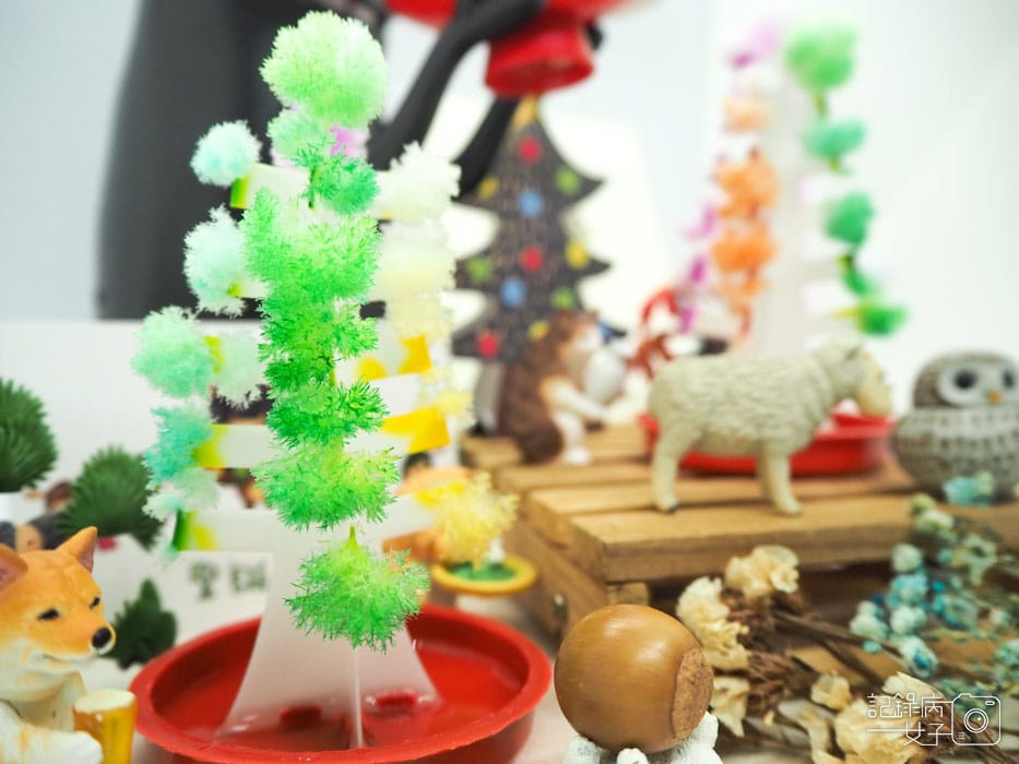 紙樹開花-結晶聖誕樹 (17).JPG 紙樹開花-結晶聖誕樹 (17).JPG