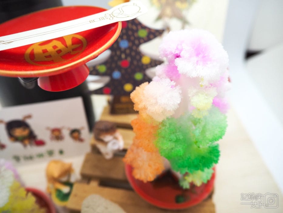 紙樹開花-結晶聖誕樹 (21).JPG 紙樹開花-結晶聖誕樹 (21).JPG