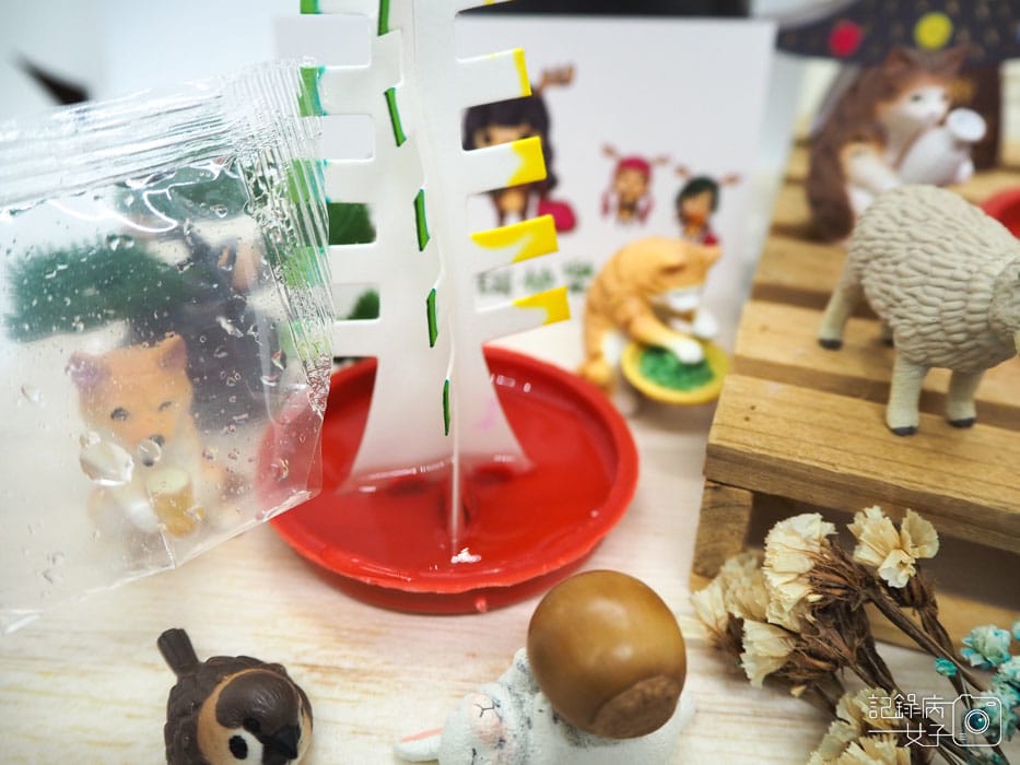 紙樹開花-結晶聖誕樹 (10).JPG 紙樹開花-結晶聖誕樹 (10).JPG