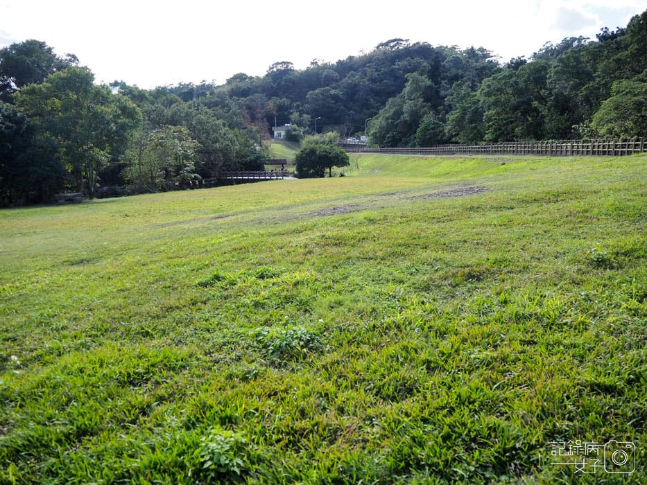 大溝溪生態治水園區-內湖秘境 (55).jpg