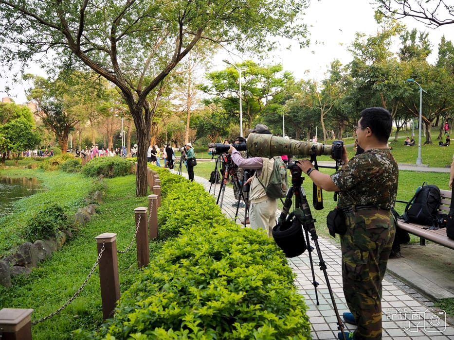 2020台北杜鵑花季_大安森林公園x捷運站水幕表演 (23).JPG 2020台北杜鵑花季_大安森林公園x捷運站水幕表演 (23).JPG