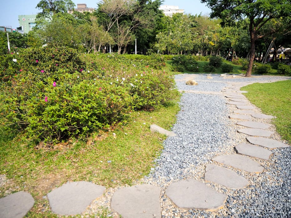 2020台北杜鵑花季_大安森林公園x捷運站水幕表演 (3).JPG 2020台北杜鵑花季_大安森林公園x捷運站水幕表演 (3).JPG