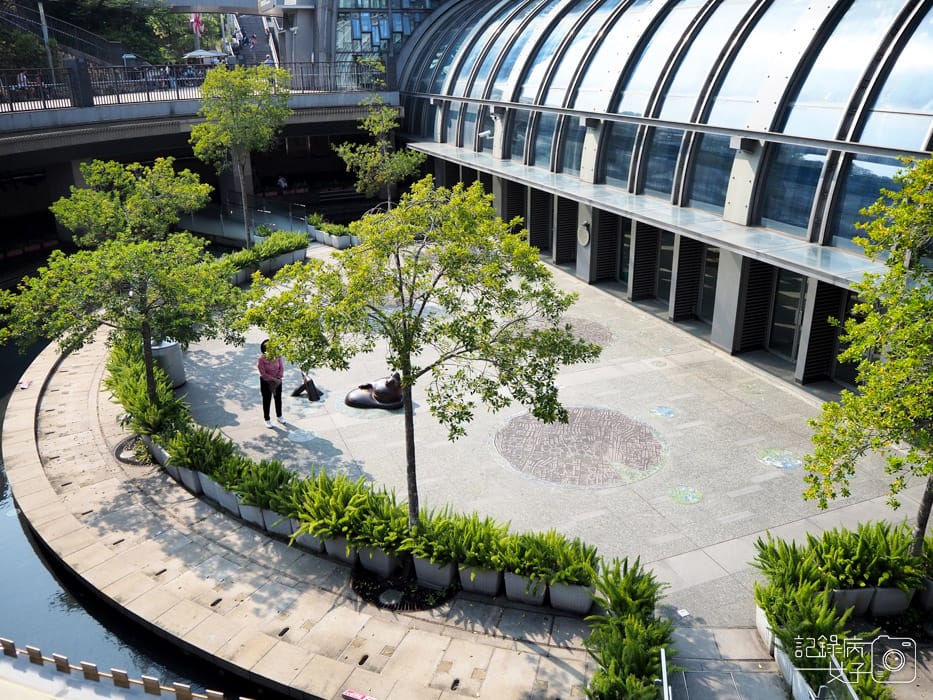 2020台北杜鵑花季_大安森林公園x捷運站水幕表演 (28).JPG 2020台北杜鵑花季_大安森林公園x捷運站水幕表演 (28).JPG