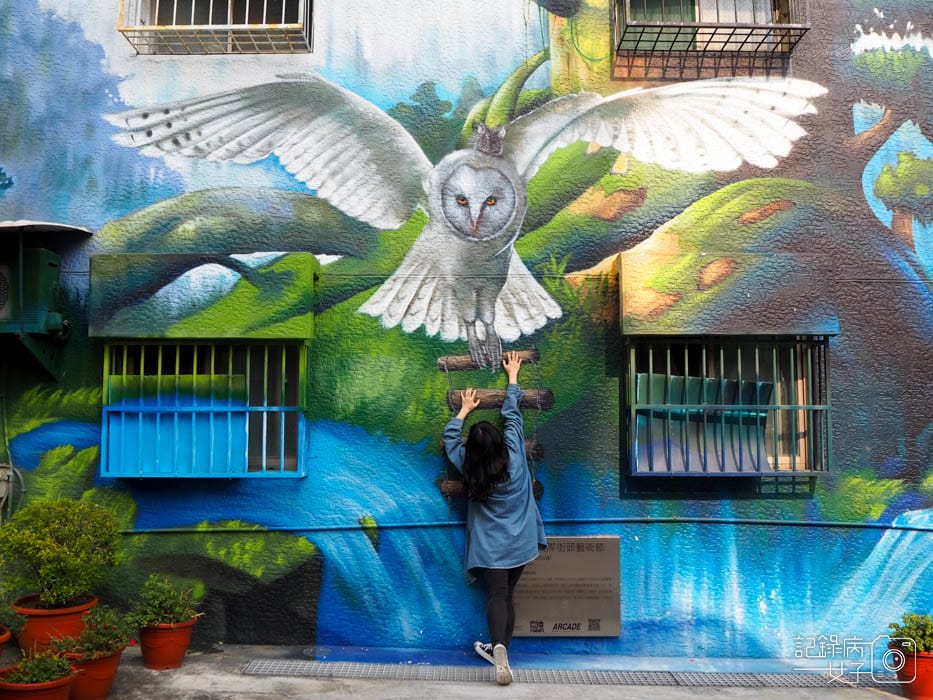 高雄衛武營彩繪社區_衛武迷迷村 WAllRIORS國際街頭藝術 (28).jpg