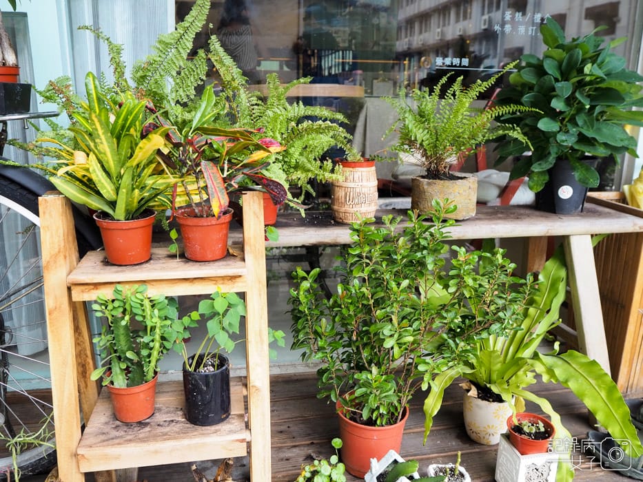 村秀家_咖哩飯+抹茶千層+水蜜桃千層蛋糕 (2).jpg 村秀家_咖哩飯+抹茶千層+水蜜桃千層蛋糕 (2).jpg