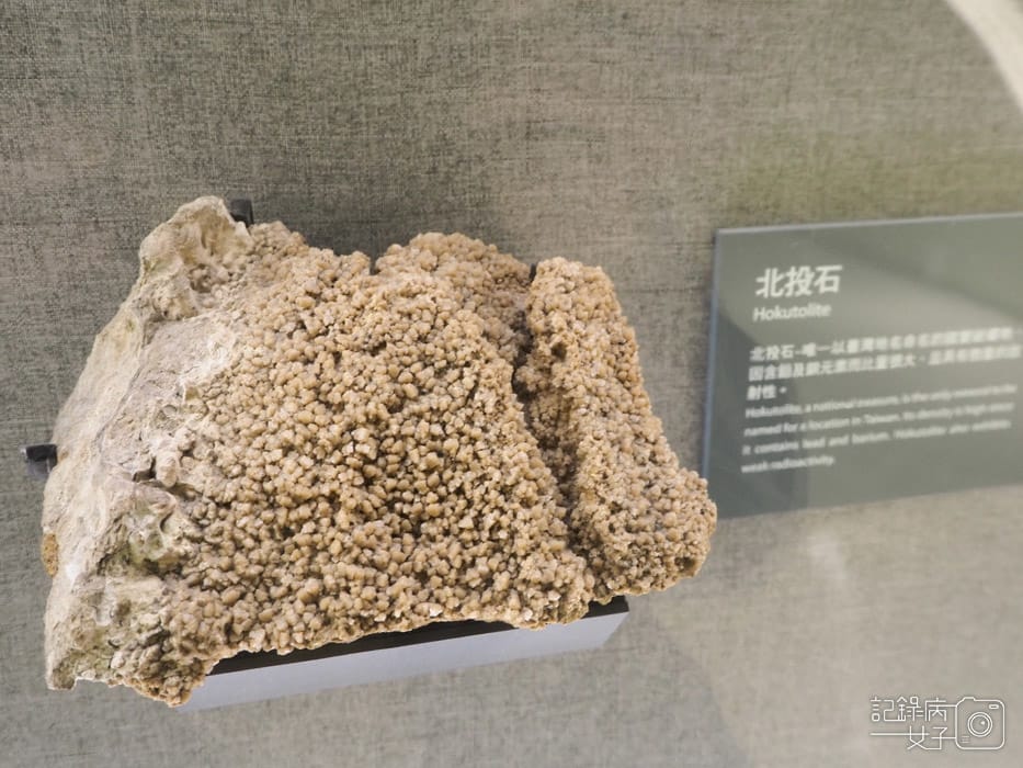 國立臺灣博物館_鯨驗值 鯨骨解密特展+發現臺灣 重訪臺灣博物學與博物學家的年代 (38).jpg