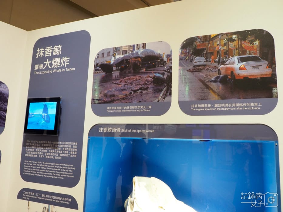 國立臺灣博物館_鯨驗值 鯨骨解密特展+發現臺灣 重訪臺灣博物學與博物學家的年代 (7).jpg