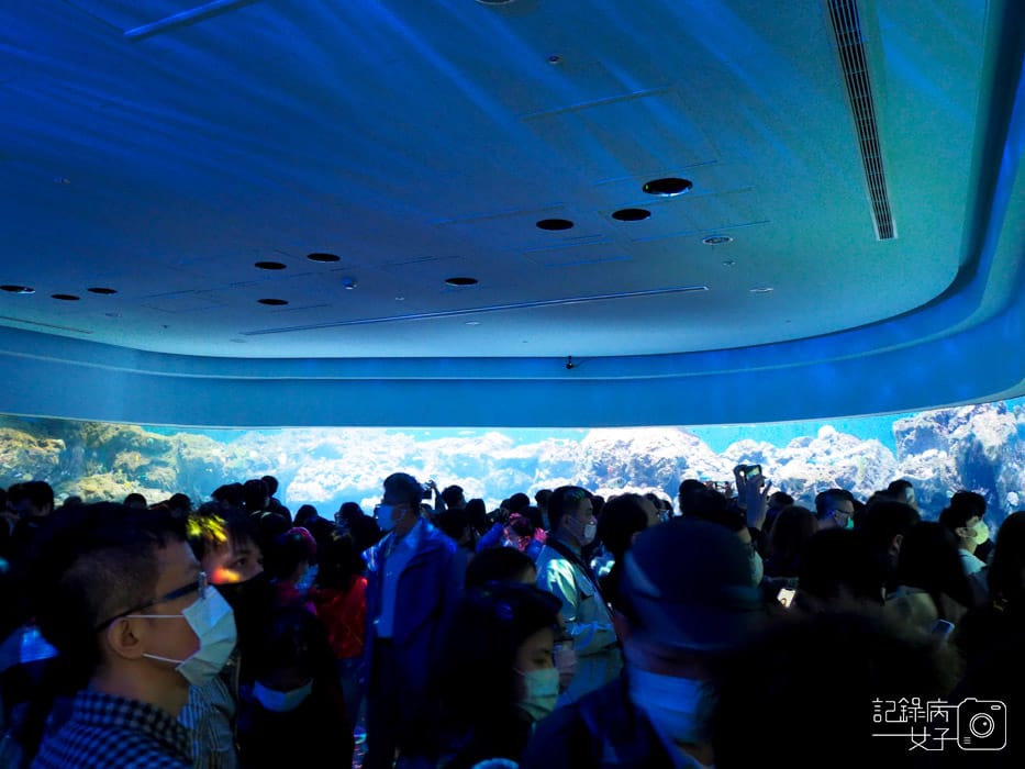 桃園中壢Xpark 新都會型水生公園 (11).JPG