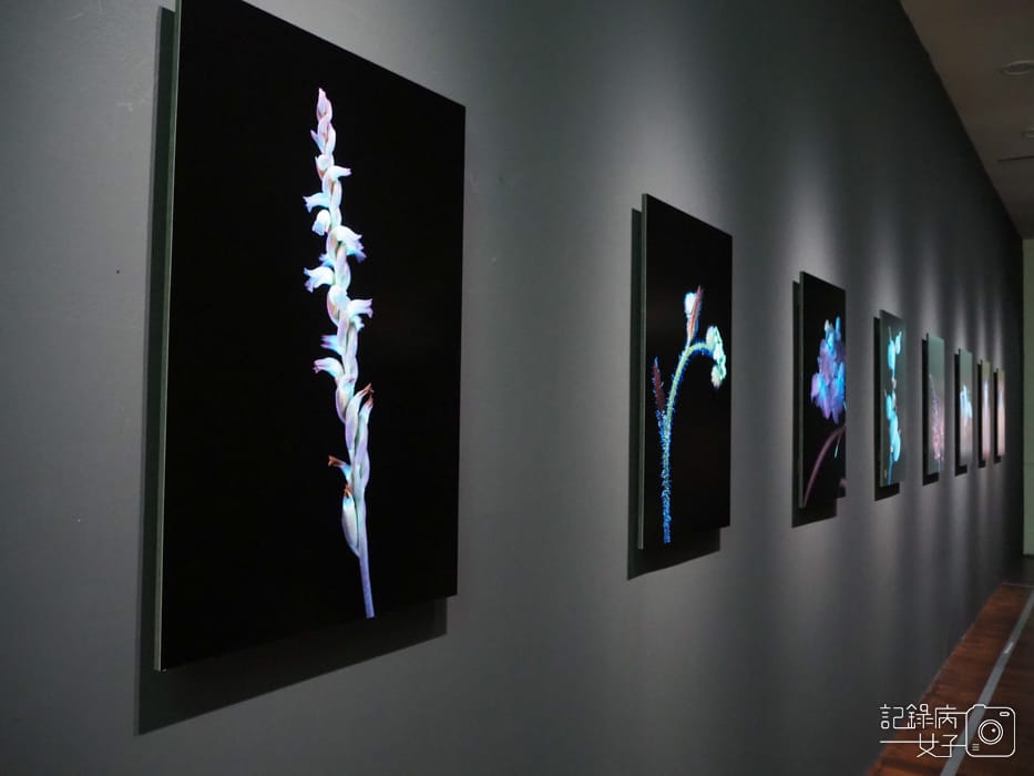 台北當代藝術館 蓋婭4.jpg