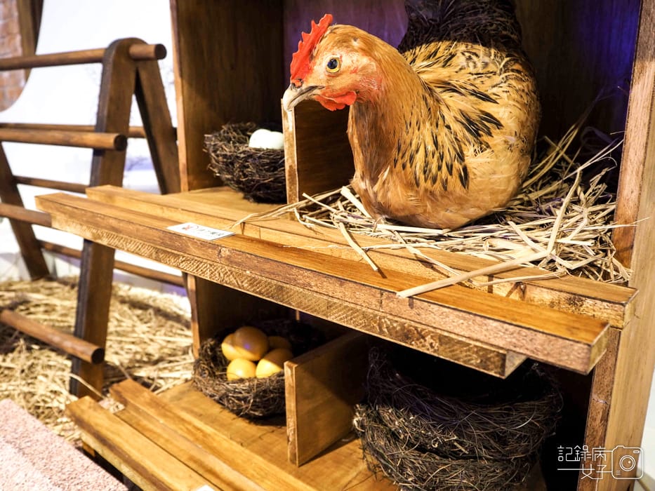 永續年夜飯x國立臺灣博物館南門園區25.jpg 永續年夜飯x國立臺灣博物館南門園區25.jpg