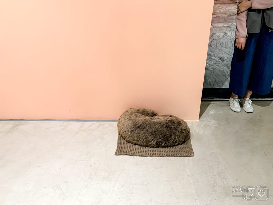 百分百錯覺x臺北市立美術館22.jpg 百分百錯覺x臺北市立美術館22.jpg