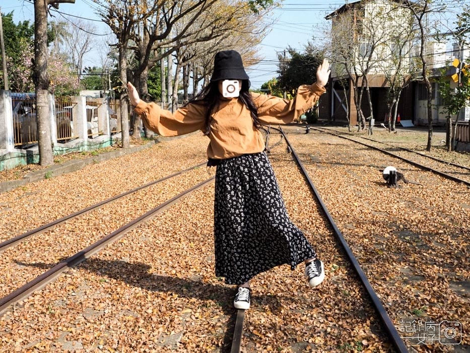 蒜頭糖廠蔗埕文化園區x五分車台糖冰品4.jpg 蒜頭糖廠蔗埕文化園區x五分車台糖冰品4.jpg