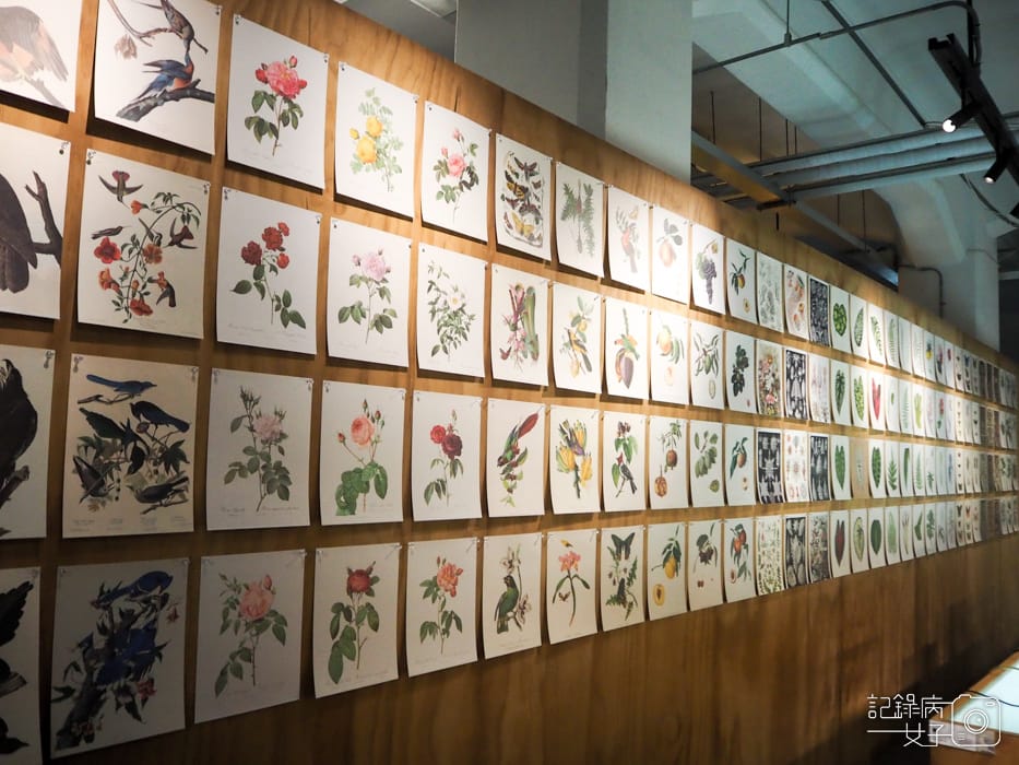 松菸 大博物展 x 10大博物館數位館藏32.jpg 松菸 大博物展 x 10大博物館數位館藏32.jpg