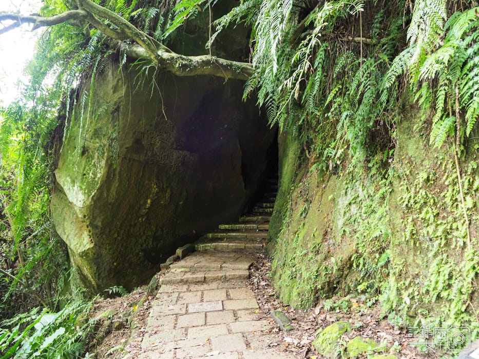 象山步道x六巨石x一線天x台北101攝影平台29.jpg