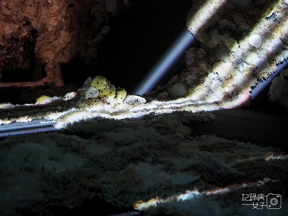 金車文藝中心x野人獻曝 劉安廸 x冉冉 吳佳容35.jpg 金車文藝中心x野人獻曝 劉安廸 x冉冉 吳佳容35.jpg