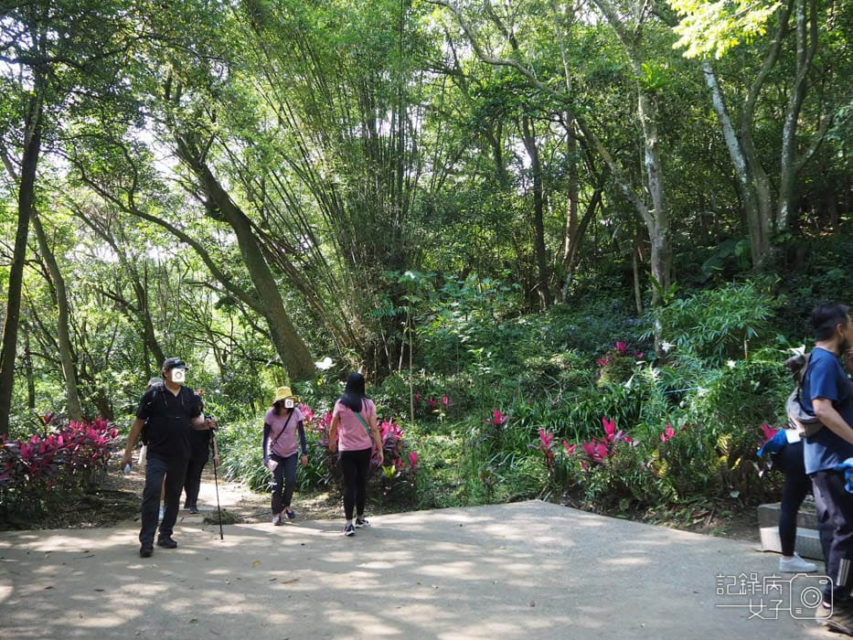 汐止油桐花內溝山登山步道翠湖步道3.jpg