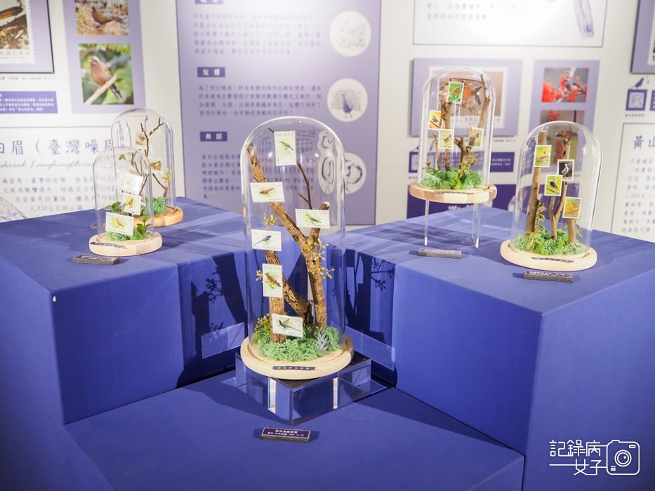 郵政博物館 翩翩飛羽映像 超美鳥類郵票特展14.jpg 郵政博物館 翩翩飛羽映像 超美鳥類郵票特展14.jpg