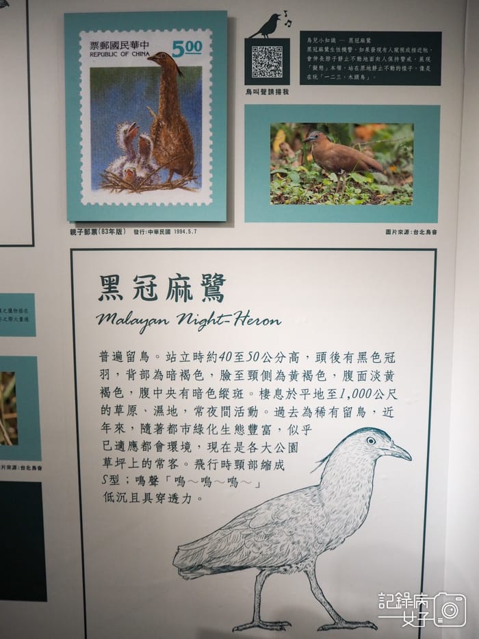 郵政博物館 翩翩飛羽映像 超美鳥類郵票特展23.jpg 郵政博物館 翩翩飛羽映像 超美鳥類郵票特展23.jpg