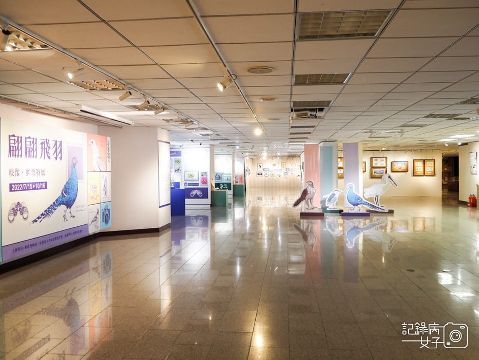 郵政博物館 翩翩飛羽映像 超美鳥類郵票特展6.jpg 郵政博物館 翩翩飛羽映像 超美鳥類郵票特展6.jpg