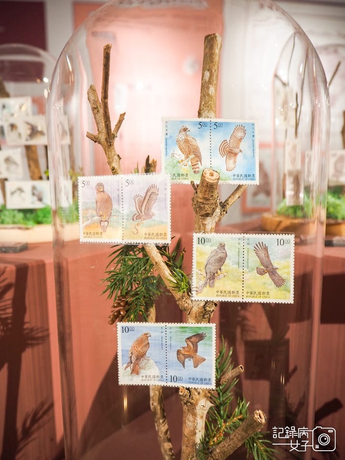 郵政博物館 翩翩飛羽映像 超美鳥類郵票特展30.jpg 郵政博物館 翩翩飛羽映像 超美鳥類郵票特展30.jpg