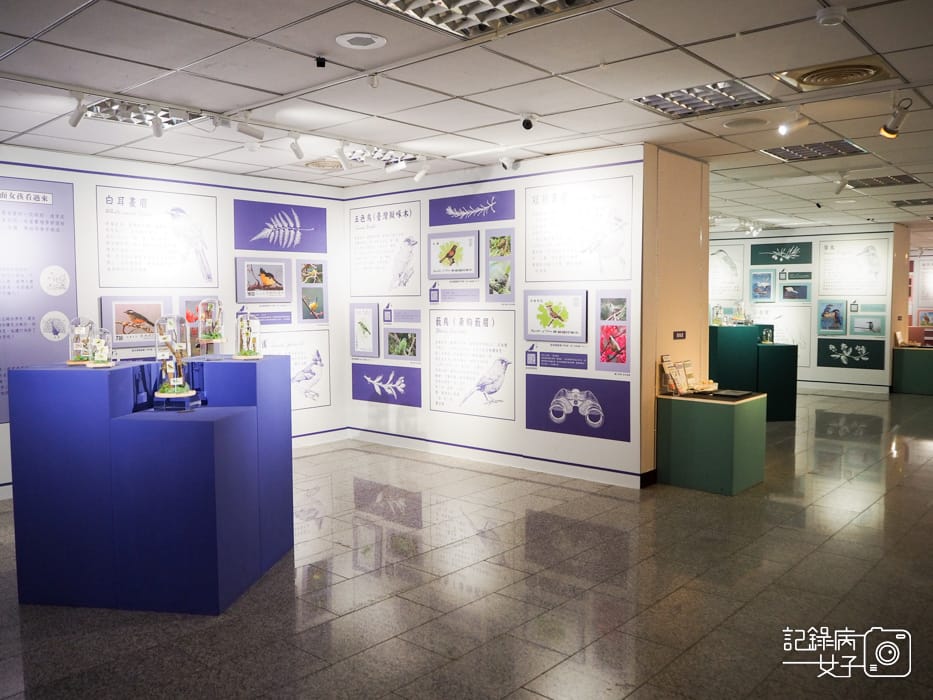 郵政博物館 翩翩飛羽映像 超美鳥類郵票特展8.jpg 郵政博物館 翩翩飛羽映像 超美鳥類郵票特展8.jpg