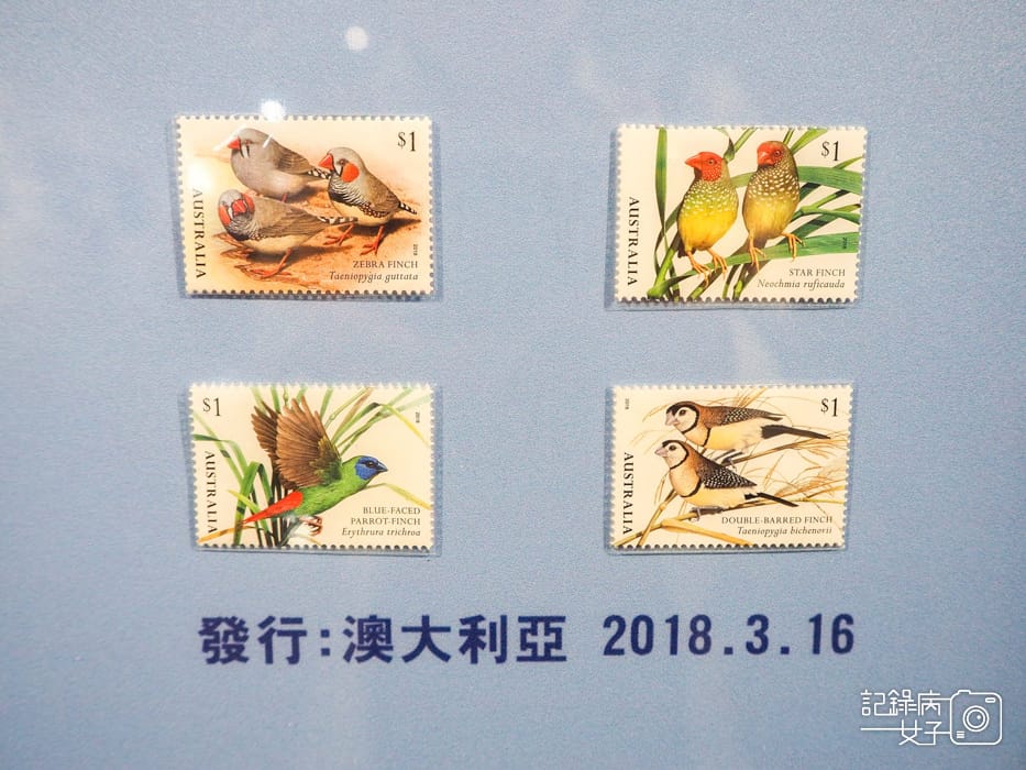 郵政博物館 翩翩飛羽映像 超美鳥類郵票特展41.jpg 郵政博物館 翩翩飛羽映像 超美鳥類郵票特展41.jpg