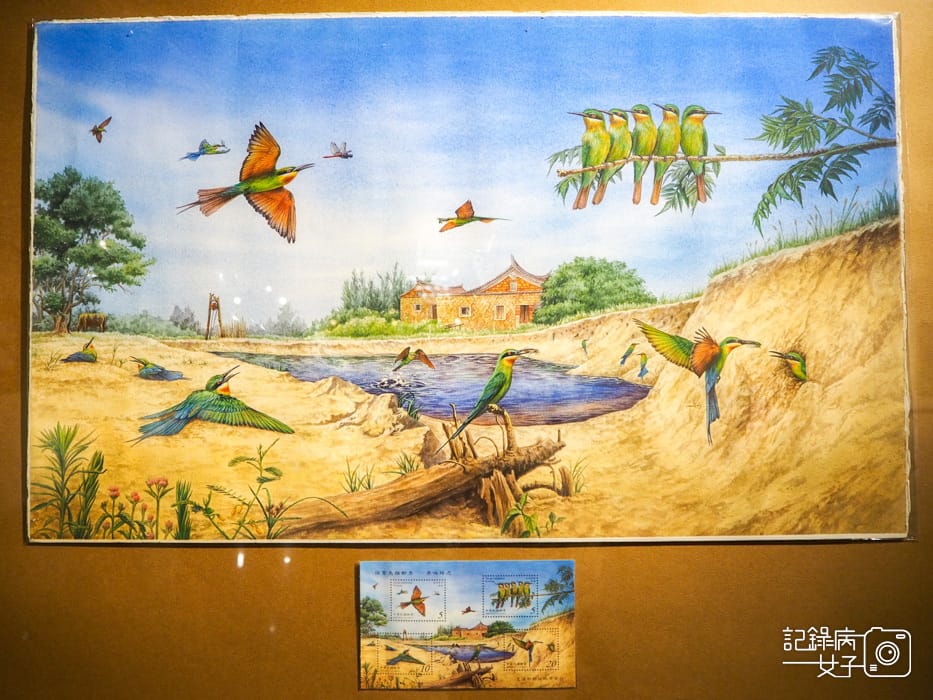 郵政博物館 翩翩飛羽映像 超美鳥類郵票特展51.jpg 郵政博物館 翩翩飛羽映像 超美鳥類郵票特展51.jpg