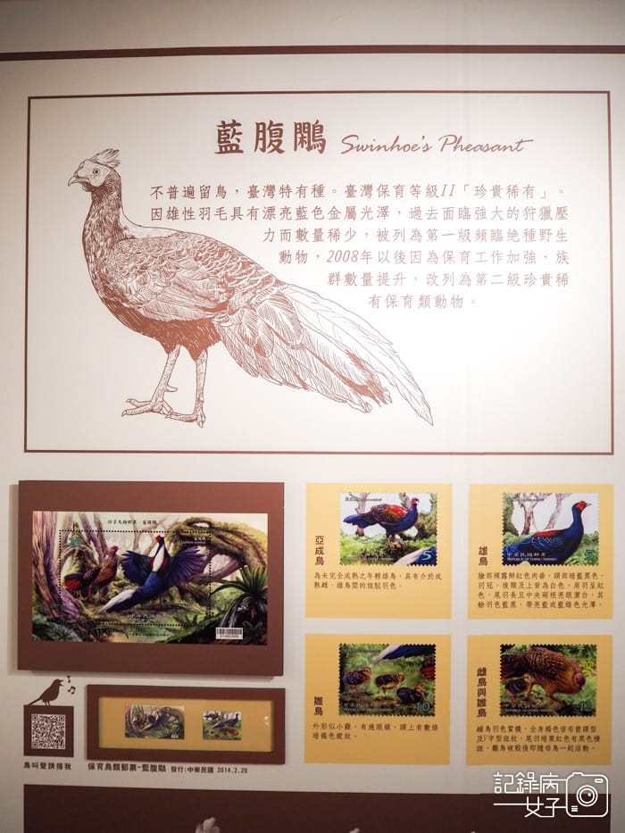 郵政博物館 翩翩飛羽映像 超美鳥類郵票特展37.jpg 郵政博物館 翩翩飛羽映像 超美鳥類郵票特展37.jpg