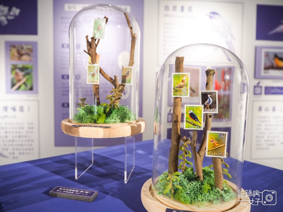 郵政博物館 翩翩飛羽映像 超美鳥類郵票特展15.jpg 郵政博物館 翩翩飛羽映像 超美鳥類郵票特展15.jpg