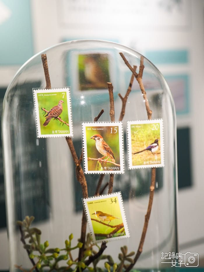 郵政博物館 翩翩飛羽映像 超美鳥類郵票特展22.jpg 郵政博物館 翩翩飛羽映像 超美鳥類郵票特展22.jpg