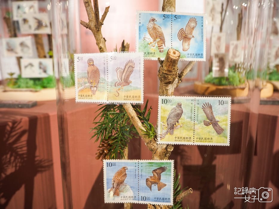 郵政博物館 翩翩飛羽映像 超美鳥類郵票特展27.jpg 郵政博物館 翩翩飛羽映像 超美鳥類郵票特展27.jpg