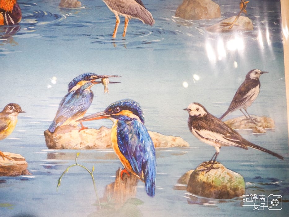 郵政博物館 翩翩飛羽映像 超美鳥類郵票特展49.jpg 郵政博物館 翩翩飛羽映像 超美鳥類郵票特展49.jpg