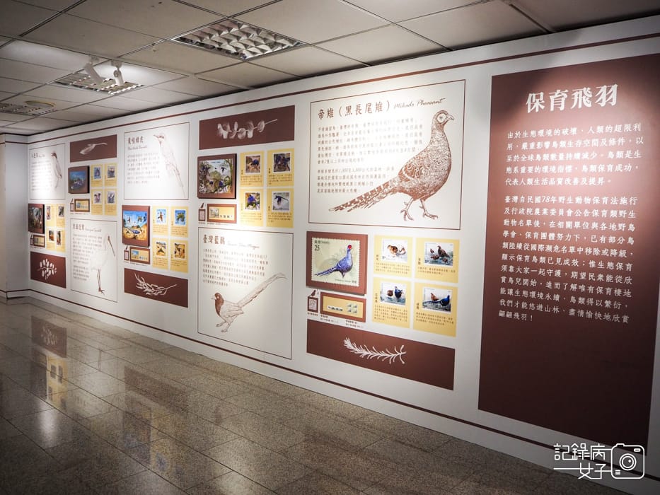 郵政博物館 翩翩飛羽映像 超美鳥類郵票特展33.jpg 郵政博物館 翩翩飛羽映像 超美鳥類郵票特展33.jpg