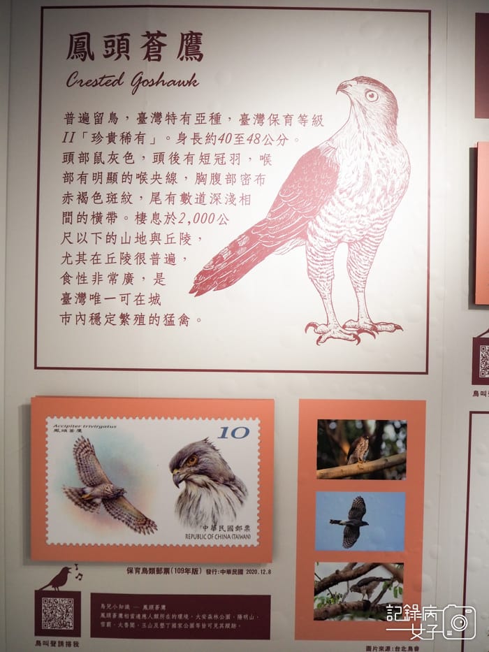 郵政博物館 翩翩飛羽映像 超美鳥類郵票特展31.jpg 郵政博物館 翩翩飛羽映像 超美鳥類郵票特展31.jpg